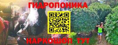 ECSTASY Бугуруслан