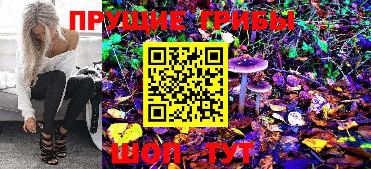 Псилоцибиновые грибы мухоморы  Галлюциногенные грибы Magic Shrooms  Татарск  Вход с VPN 