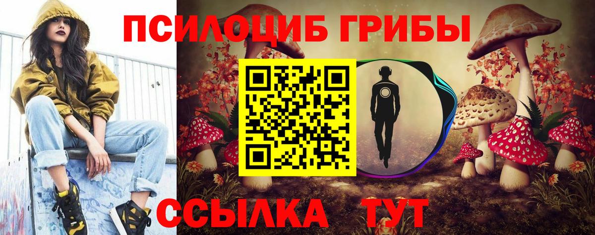 Псилоцибиновые грибы MAGIC MUSHROOMS Татарск